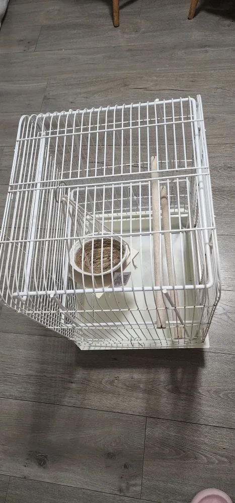 White Bird Cage with Accessories