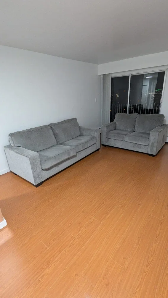 Couch and loveseat