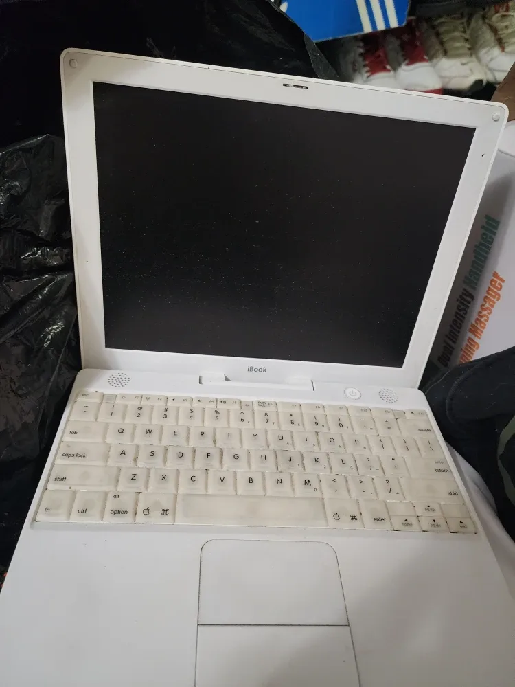 Vintage Ibook