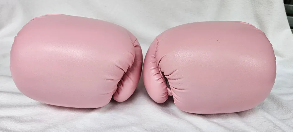 Century, I LOVE KICKBOXING 12oz Boxing Gloves Pink Like New image indicator(3)