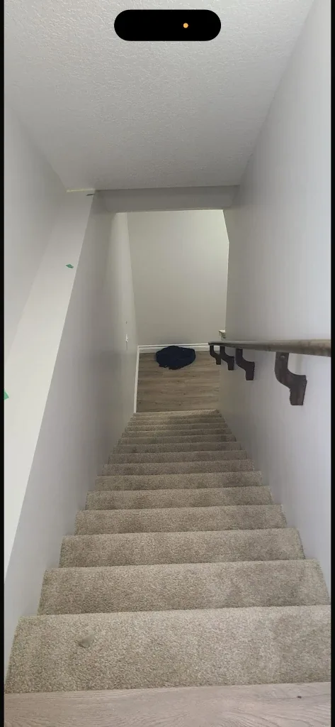 2-Bedroom Basement Suite for Rent – Homestead (NE Calgary image indicator(6)