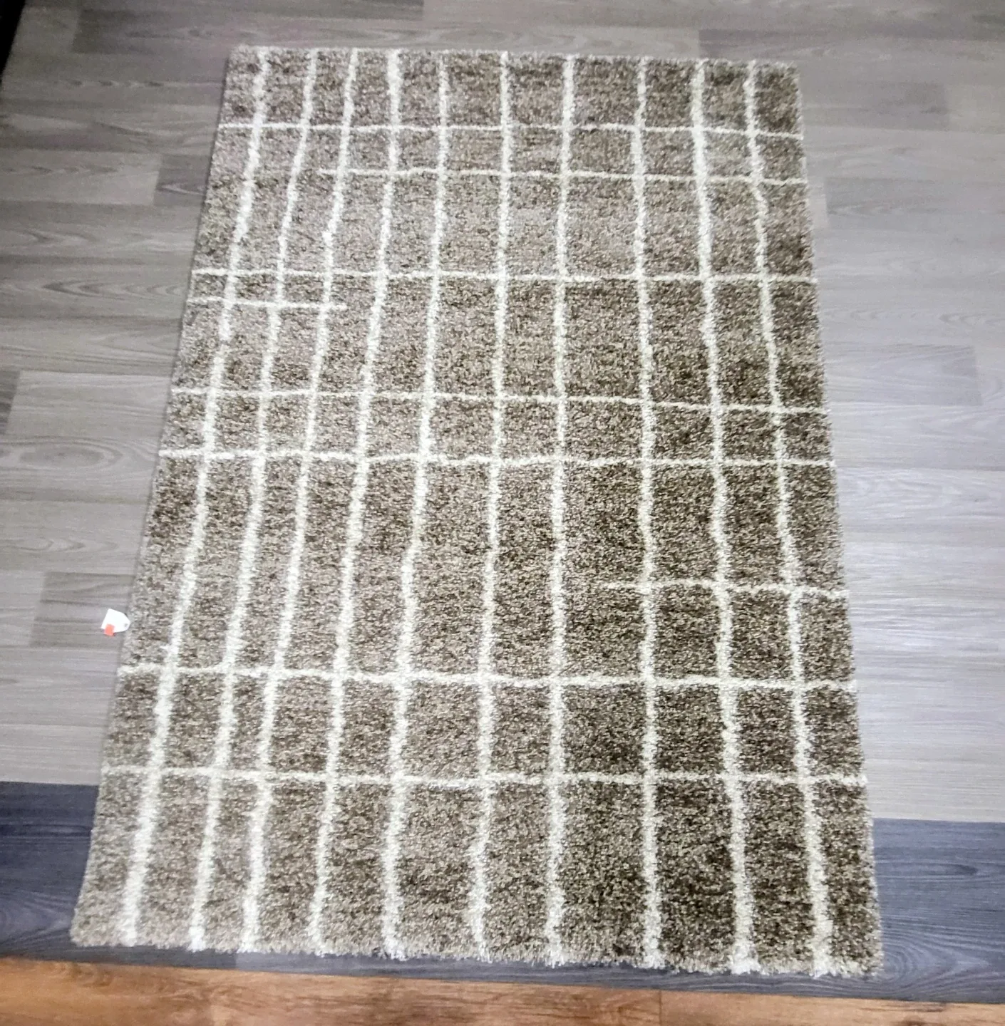 4' x 6' Area Rug - New!