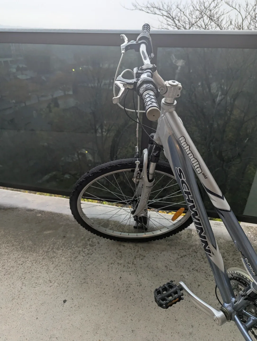 Schwinn Aphrodite Hybrid Bike image indicator(2)