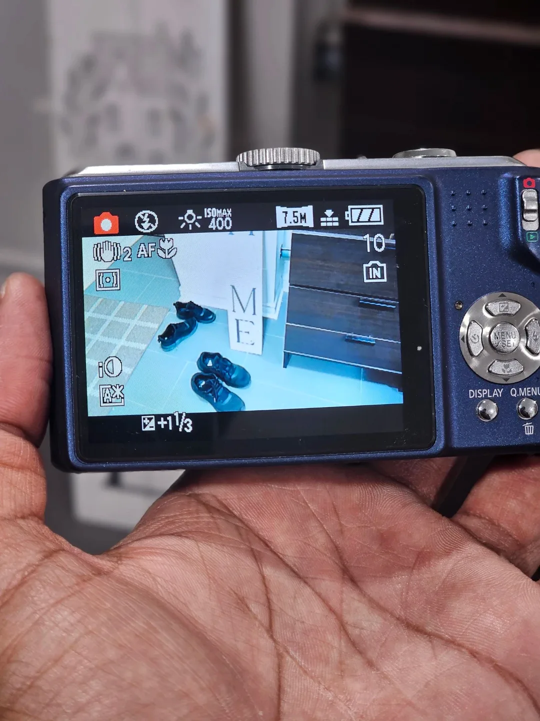 Panasonic Lumix DMC-TZ5 Digital Camera image indicator(2)