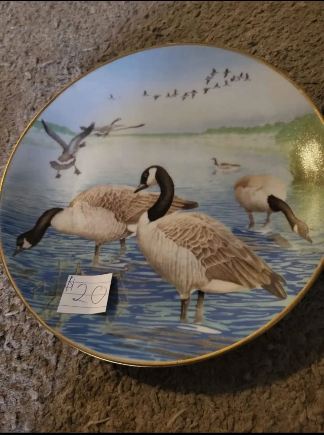 Decorative plates image indicator(3)