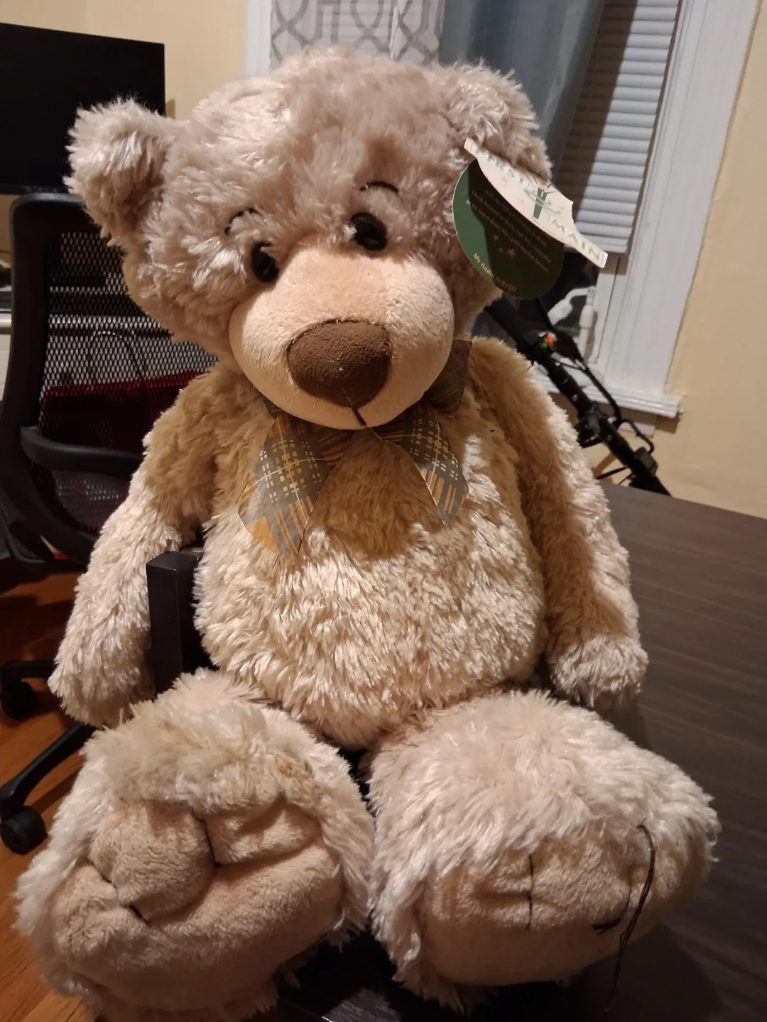 First & Main Regis Teddy Bear