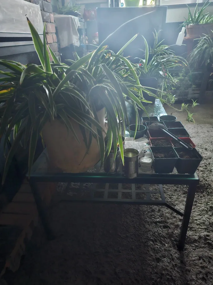 Steel coffee table  2.5'x3.5' image indicator(3)