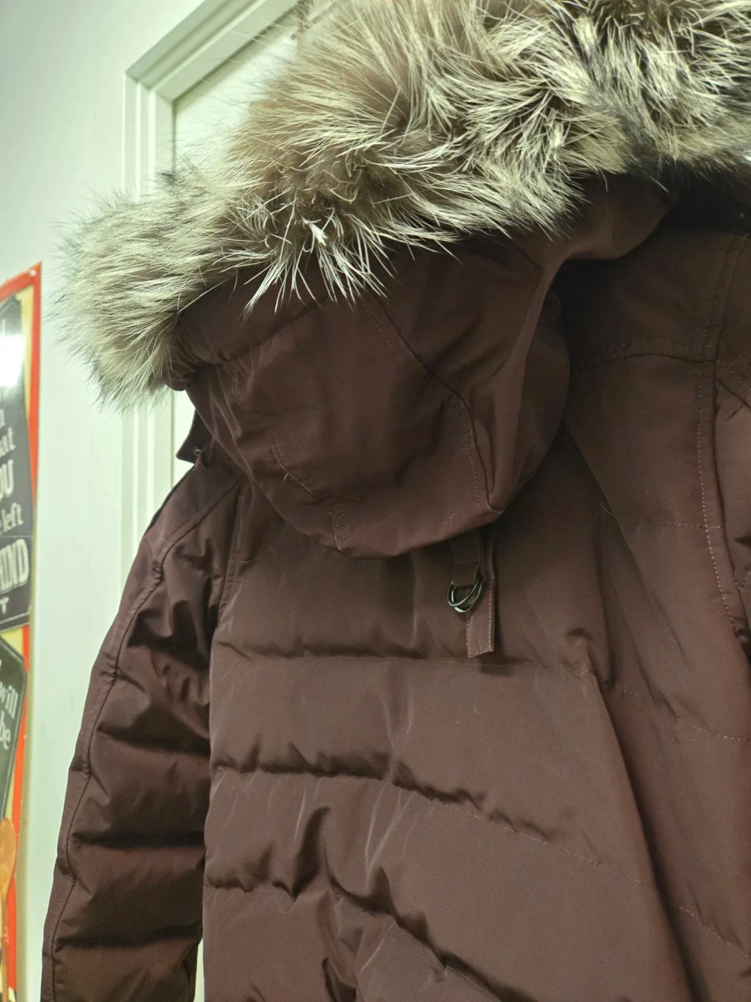 Moose Knuckles Down Bomber Jacket - Size S freshly dry cleaned image indicator(3)