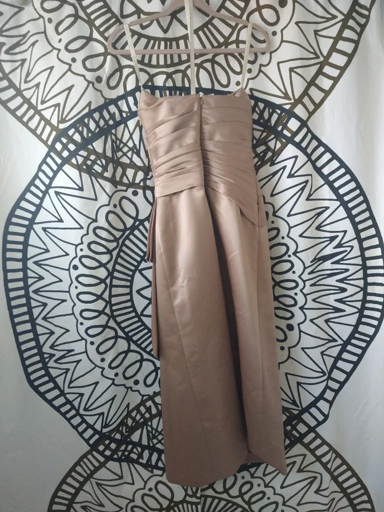 3 David's Bridal Dresses Size 8 and 10 for $27 a piece image indicator(7)