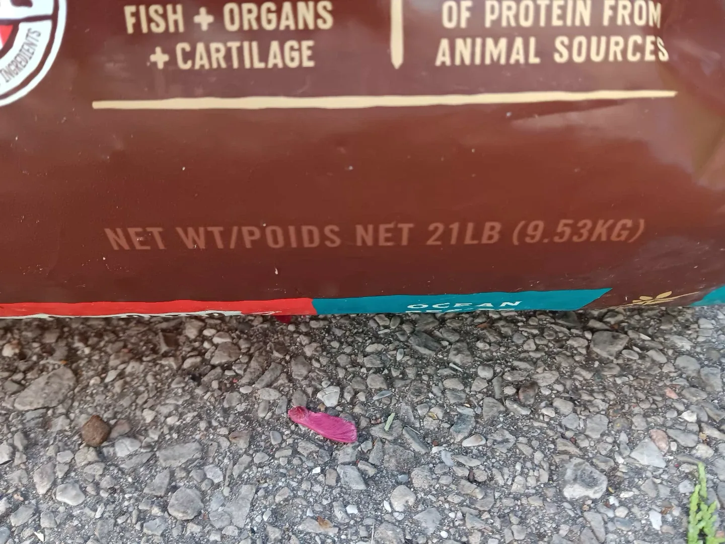 Stella & Chewy's Wild Red Ocean Recipe Dog Food 21lb image indicator(4)