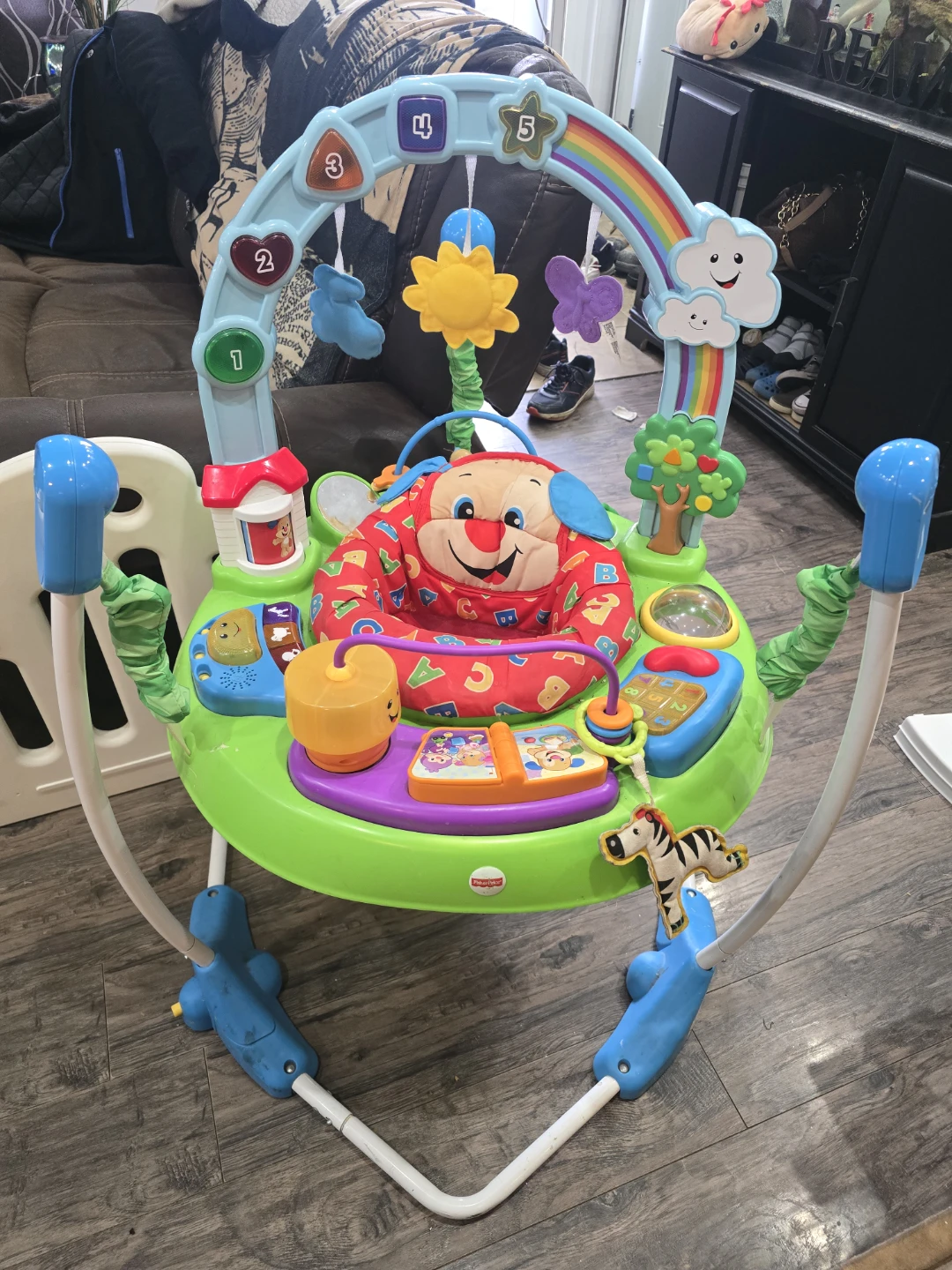 Fisher-Price Jumperoo