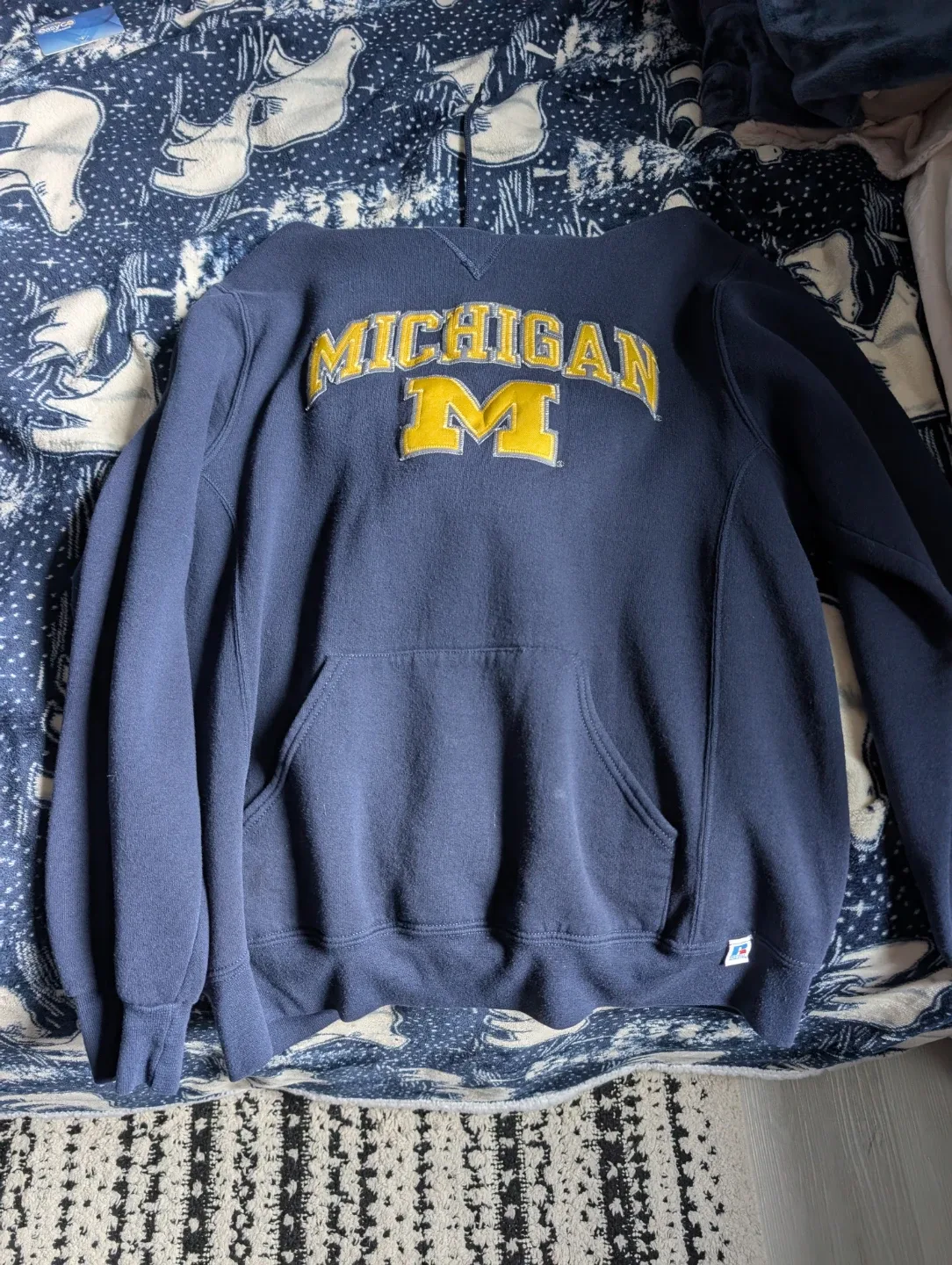 Michigan Russell Athletic Hoodie image indicator(2)
