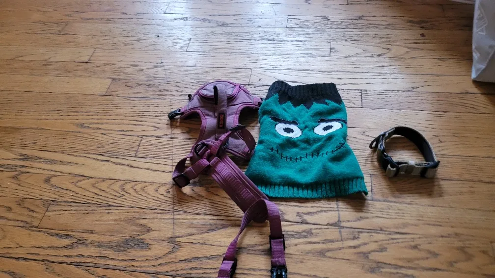 Dog Harness, Sweater, and Collar