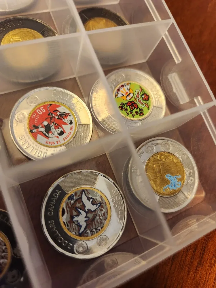 Canadian Toonies- Assorted image indicator(2)