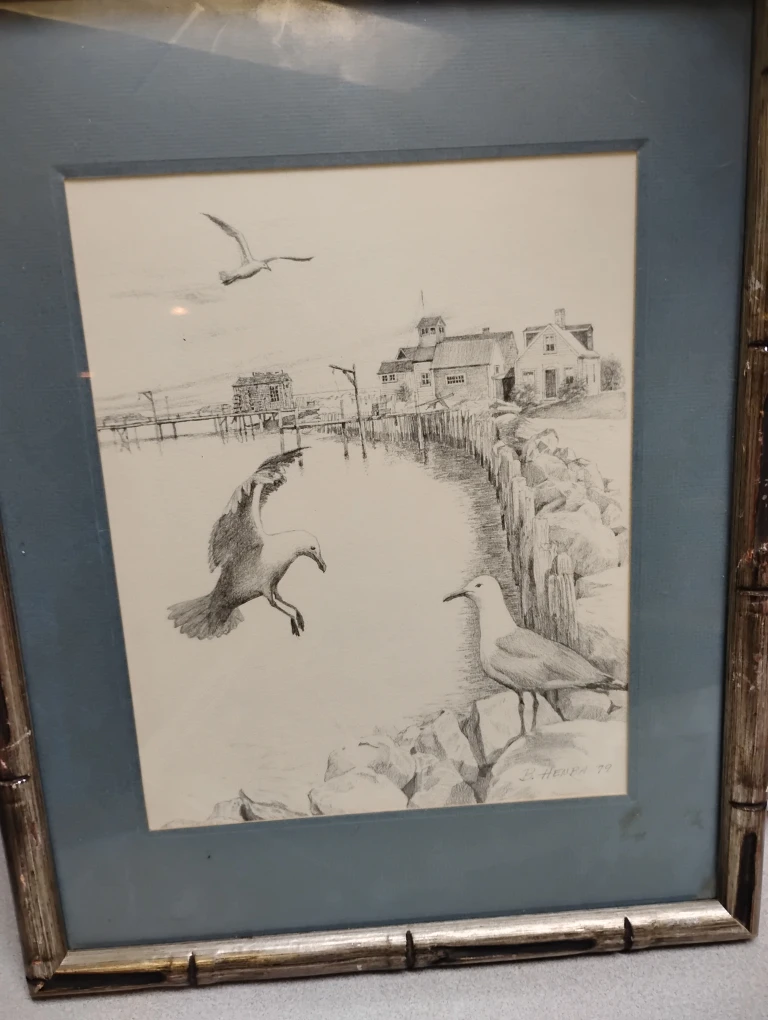 Sea Gull Pencil Drawing from 1979 - photo 2