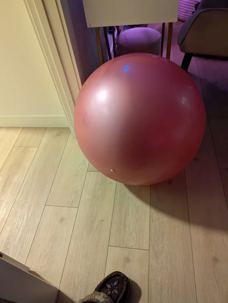 Pink Exercise Ball