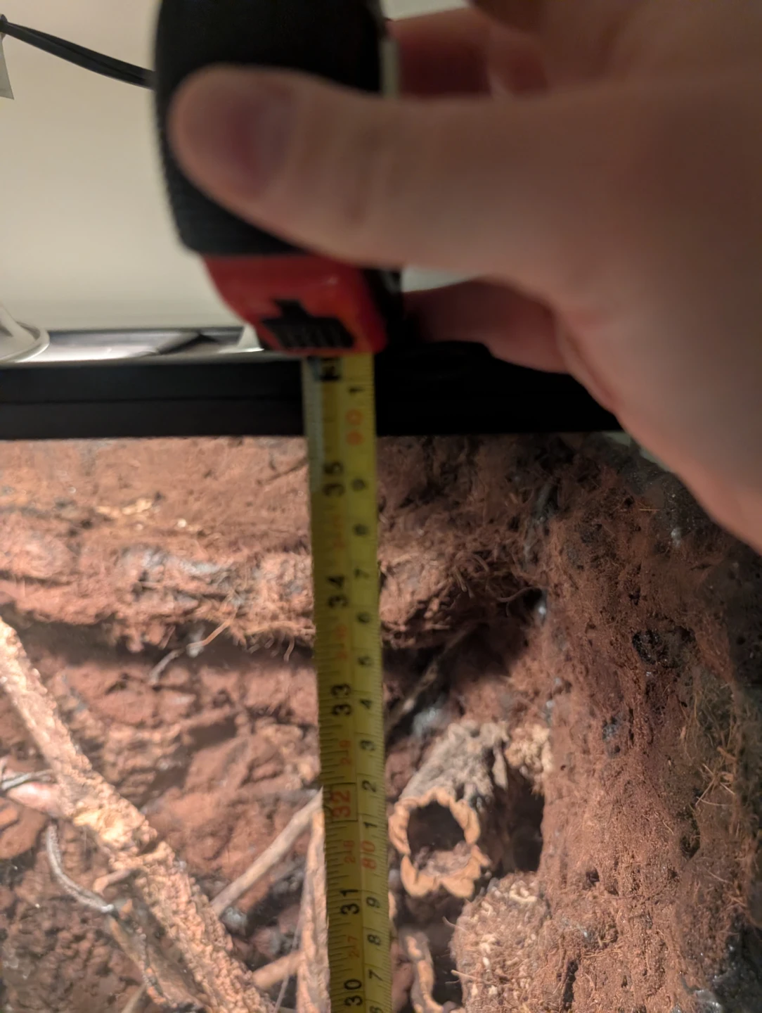 Custom Reptile Terrarium - 24" x 24" x 36" - photo 3