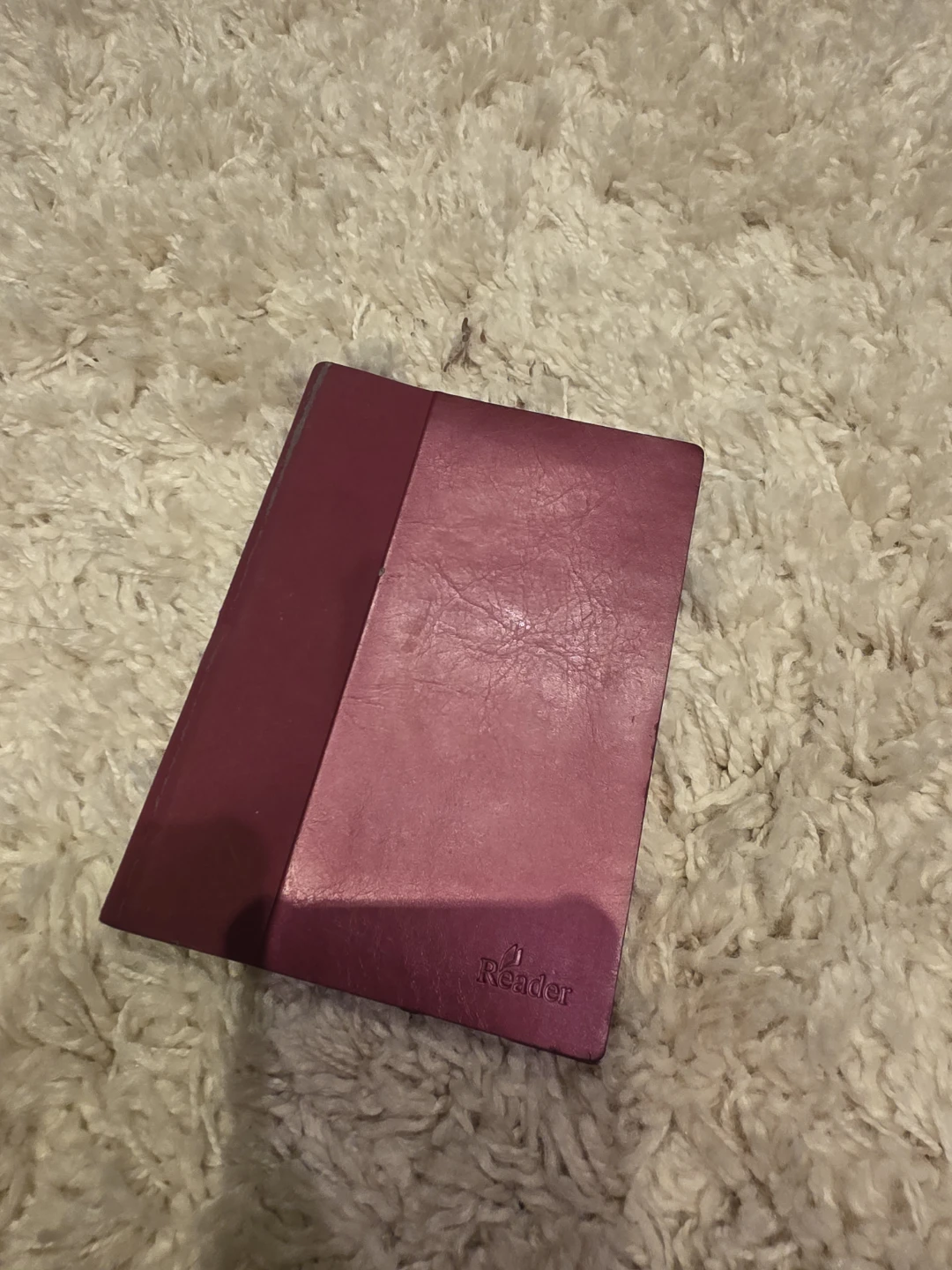 Sony Reader Digital Book
