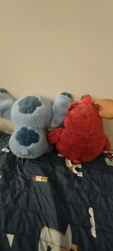 Only the bear image indicator(2)