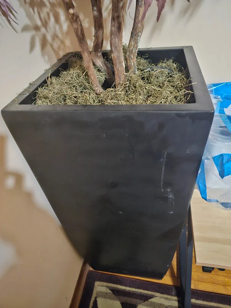 Fake 7 foot tall Japanese Maple in tall pot image indicator(3)