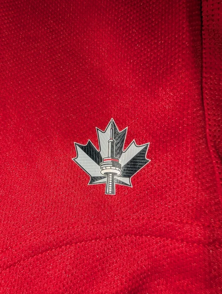 Adidas Toronto FC 2019 ClimaCool Jersey image indicator(4)