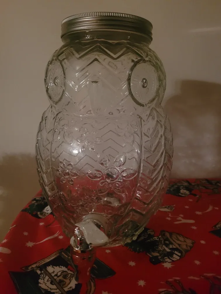 Owl Shaped Glass Drink Dispenser🥕 Freecycle