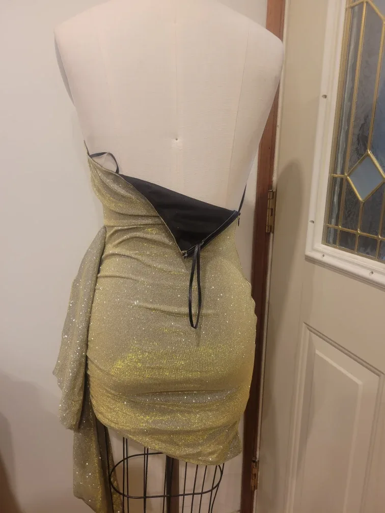 Women's Small Dress image indicator(3)