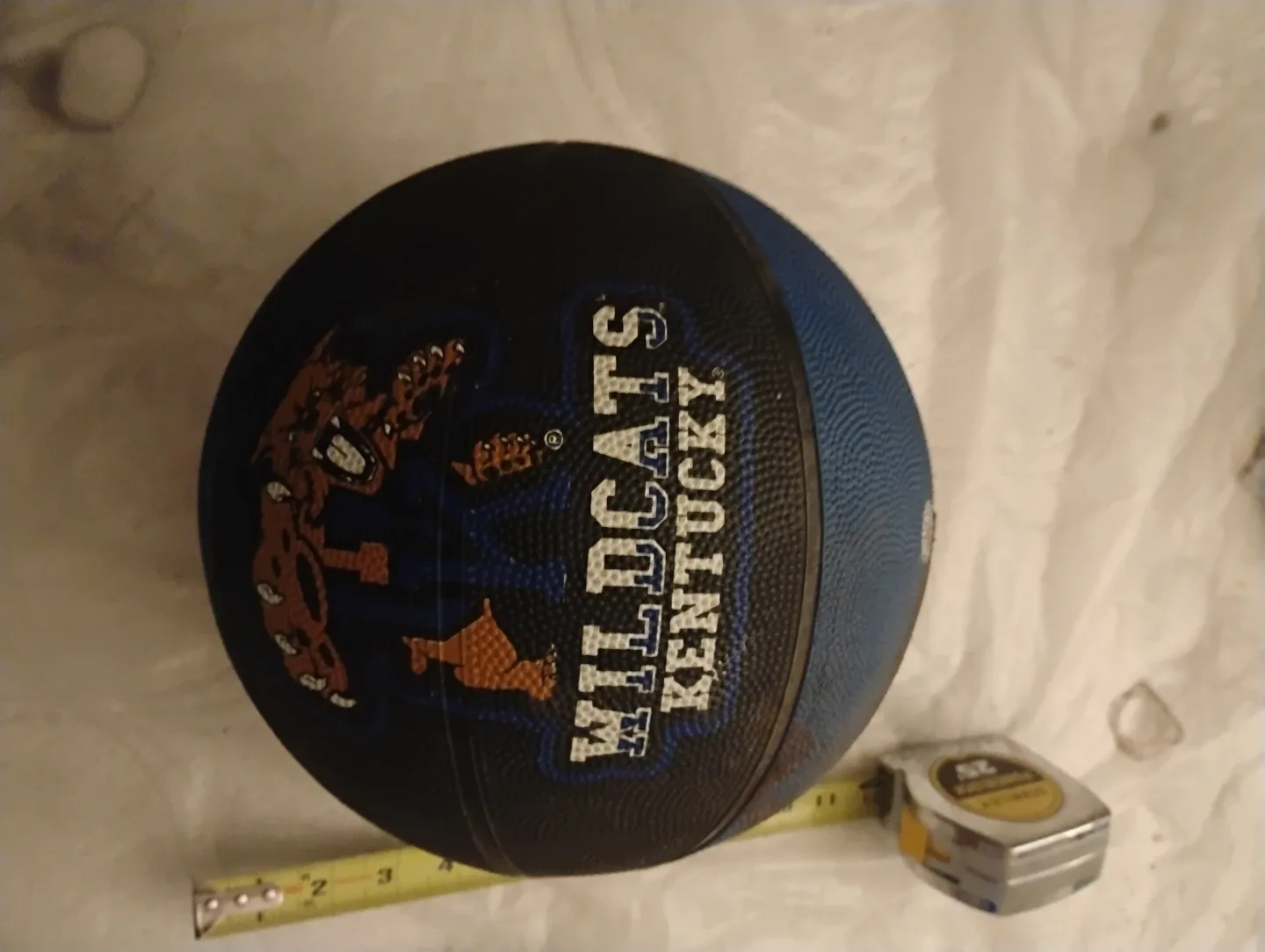 Kentucky Wildcats Basketball image indicator(3)