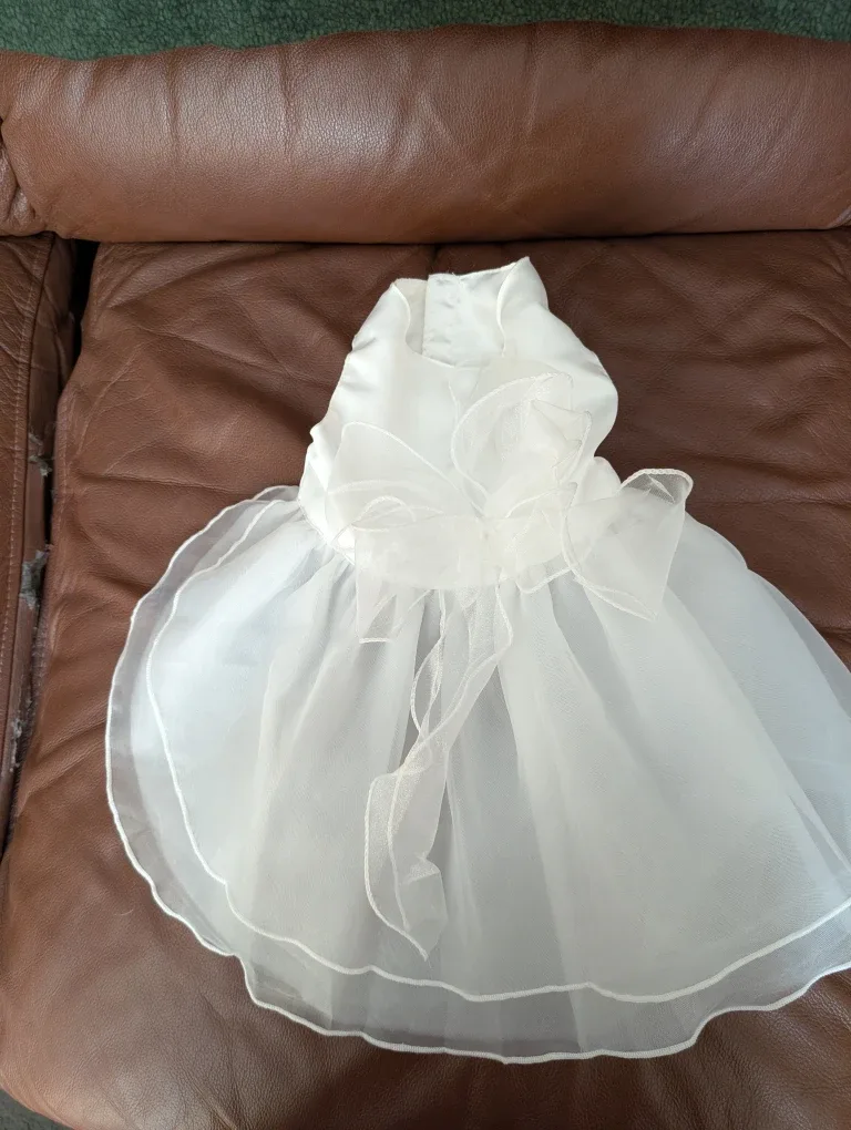 White dog dress image indicator(2)