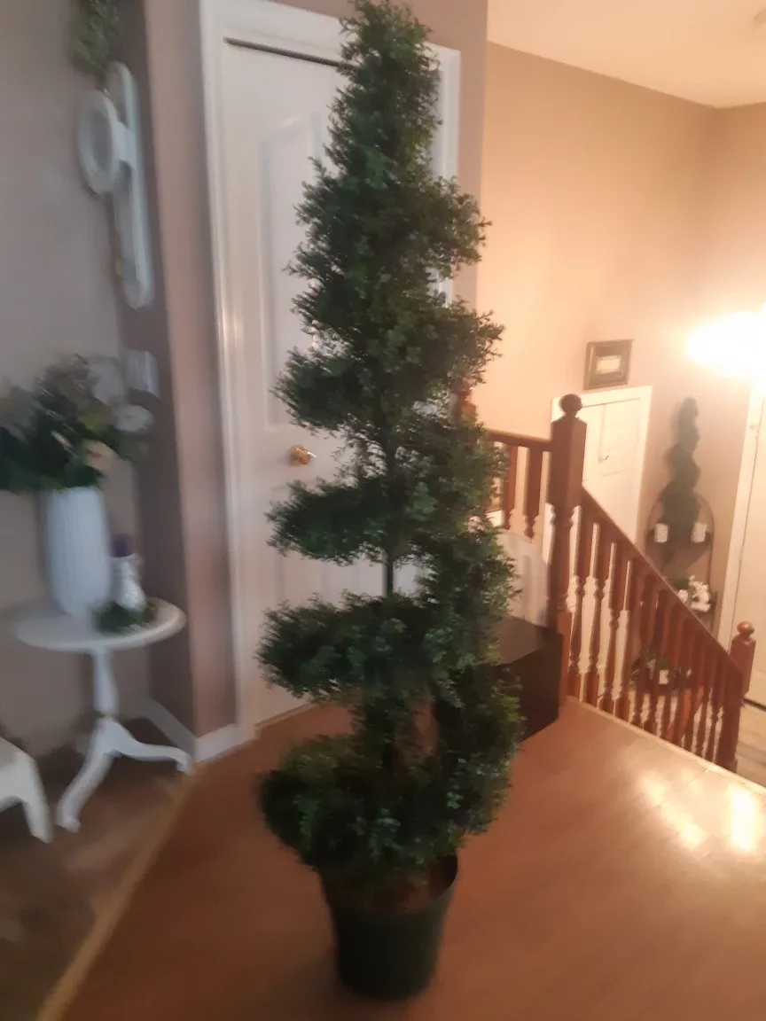 Spiral Topiary Tree