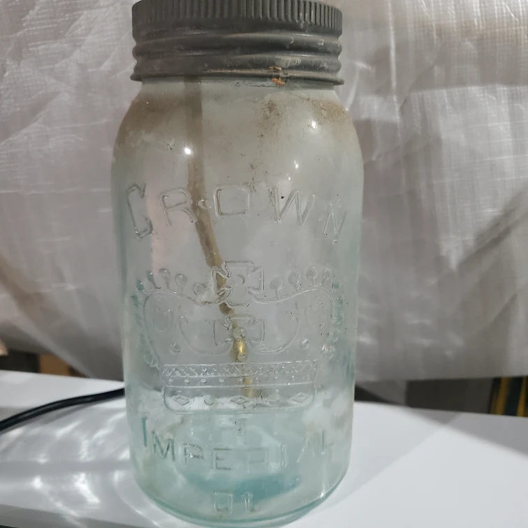Vintage Crown Imperial Jar Lamp
