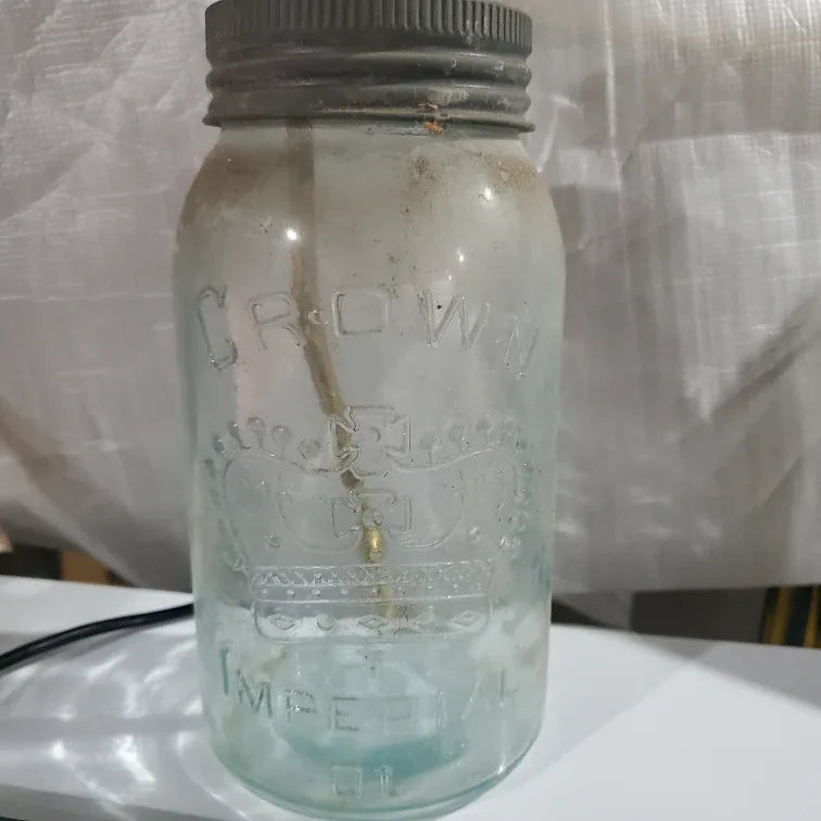 Vintage Crown Imperial Jar Lamp