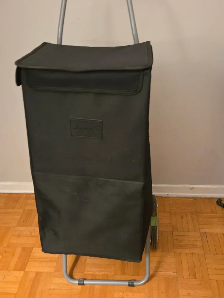 Longo's Grocery Shopping Cart - Black