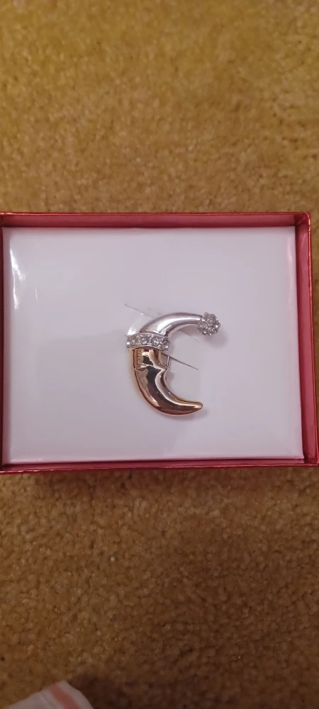 Moon Pin Brooch