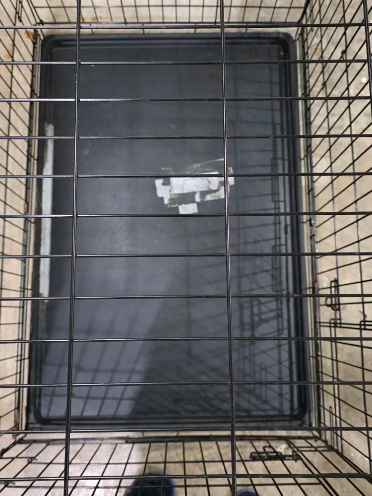 Black 2 Door XL Dog Crate image indicator(2)