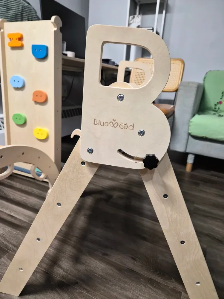 BlueWood Climbing Set for Kids