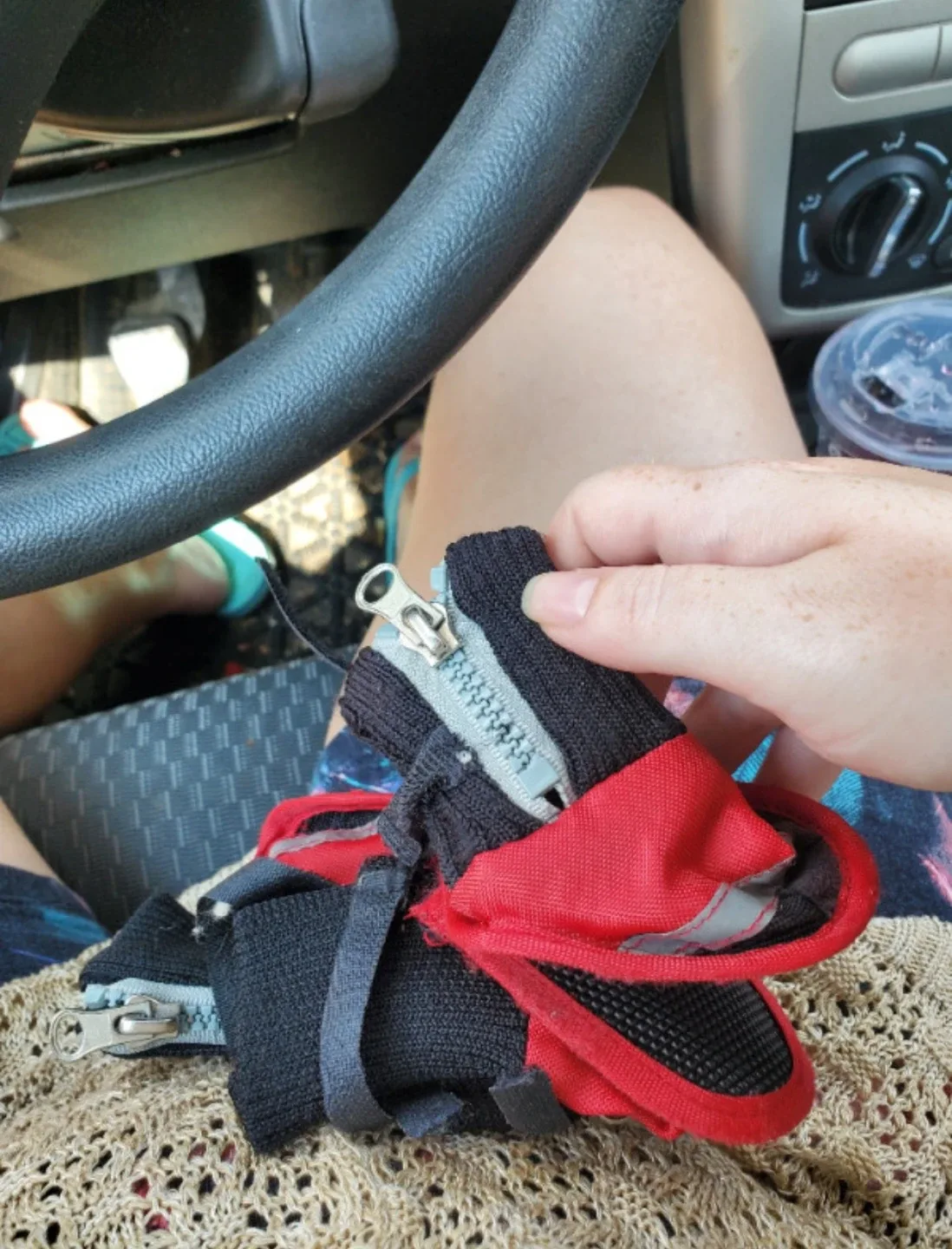 $20.00 / Day House Sitting - We are here, and always will be ♾️ image indicator(9)