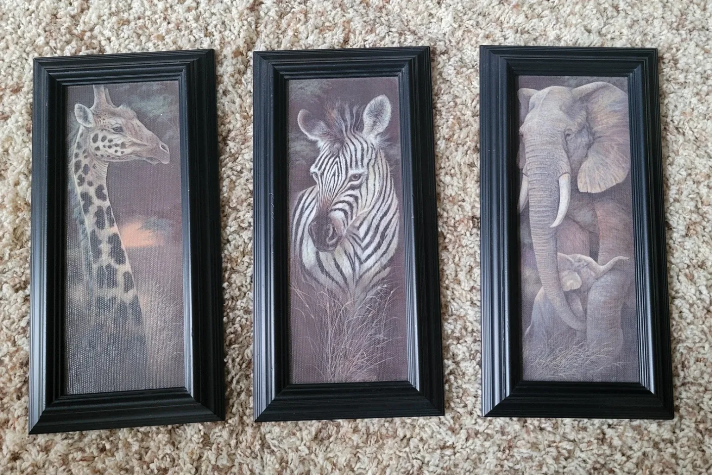 Delta Graphics Animal Prints - Set of 3 image indicator(2)