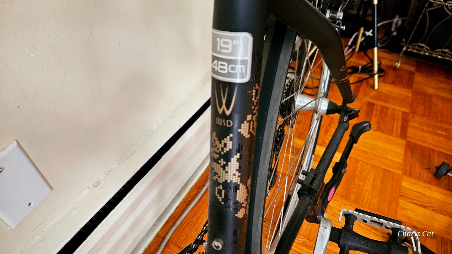 Trek WSD 19" Hybrid Bike image indicator(3)