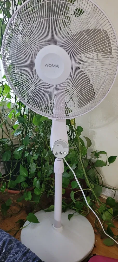 NOMA White Standing Fan