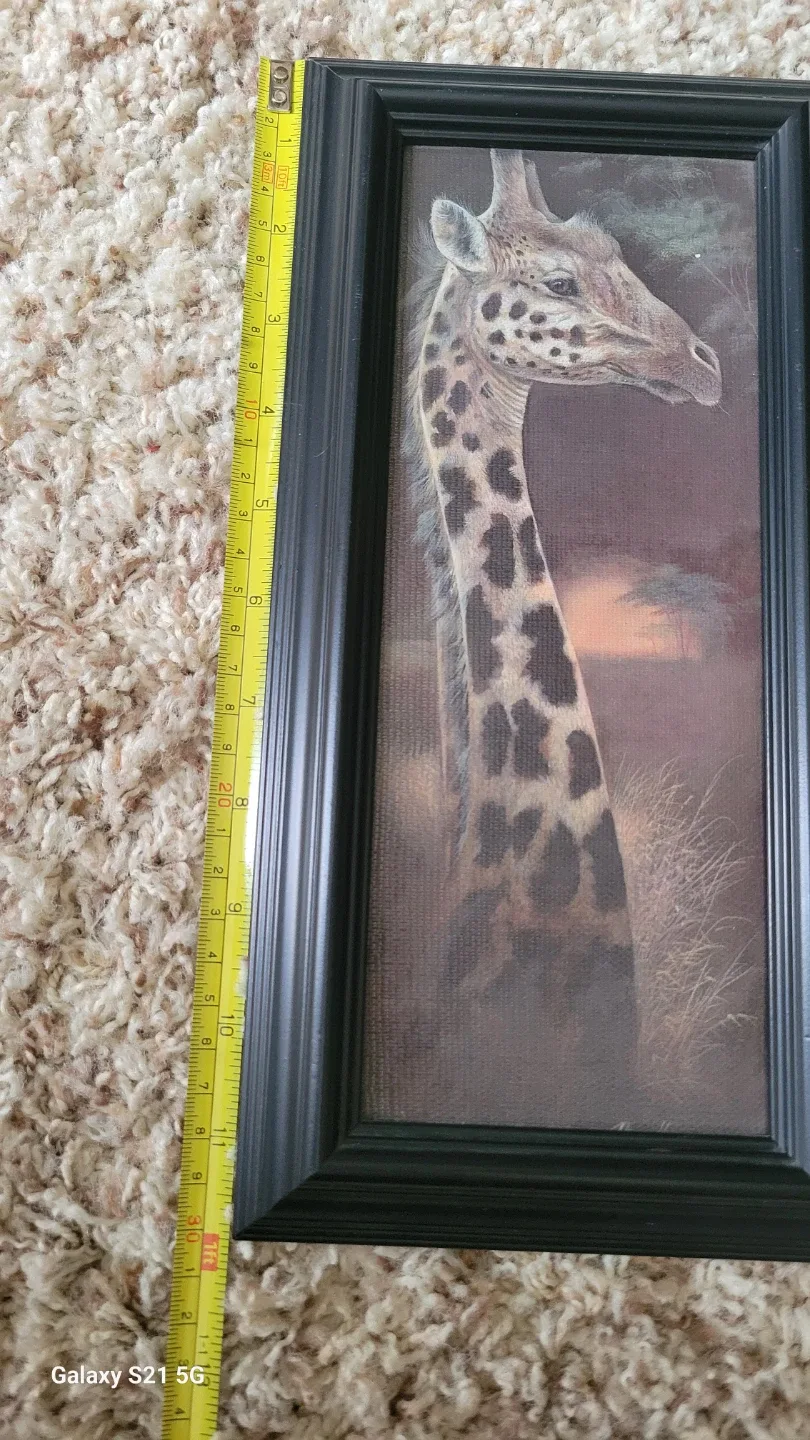 Delta Graphics Animal Prints - Set of 3 image indicator(6)