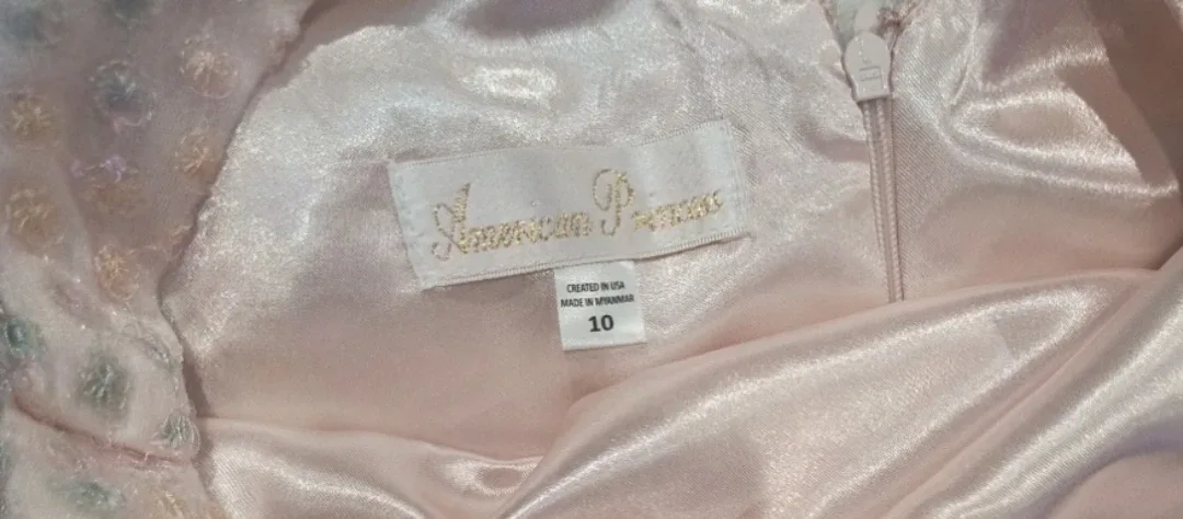 American Princess Dress - Size 10 image indicator(2)