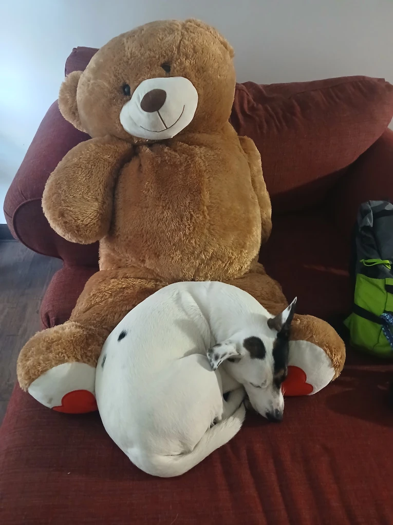 Giant Brown Teddy Bear - photo 2