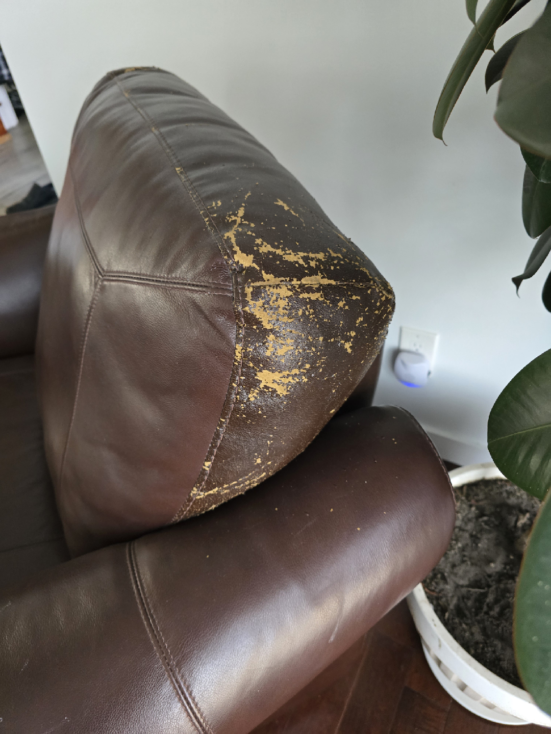 Brown Leather Sofa - Some Wear - photo 2