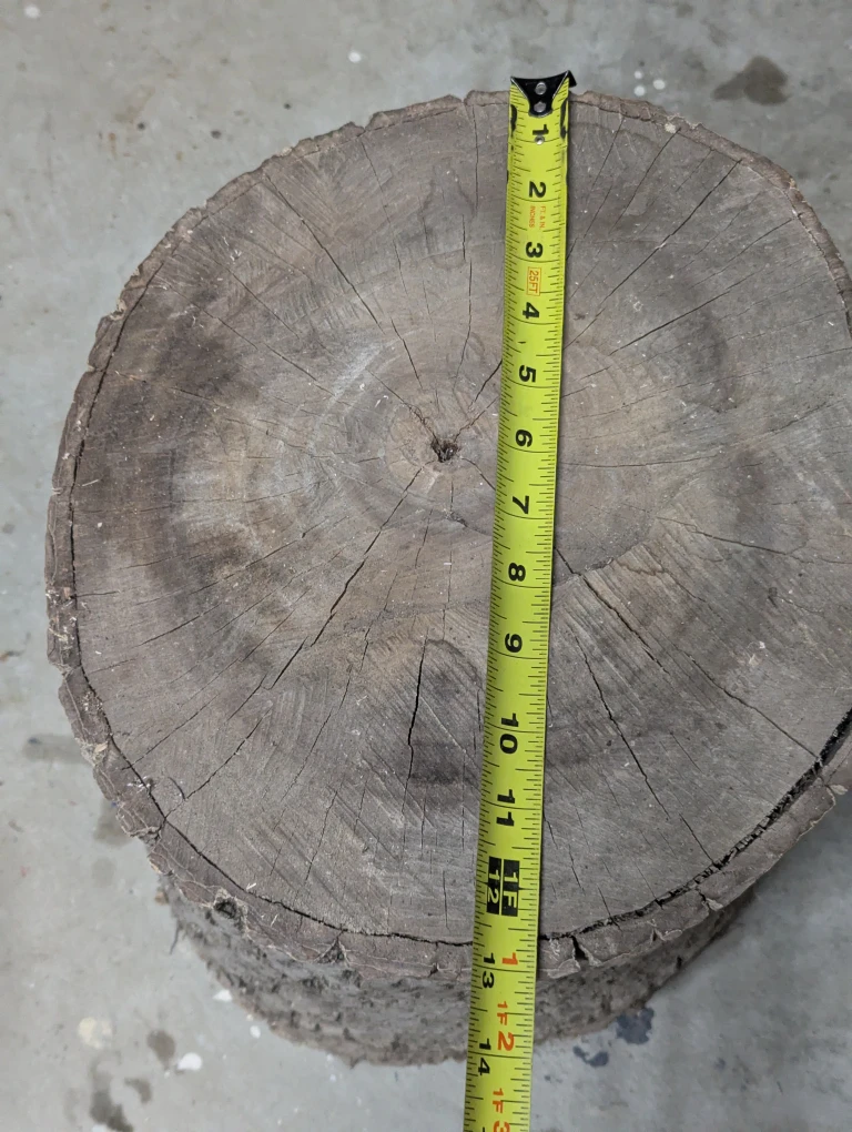 Two Walnut stumps - photo 4