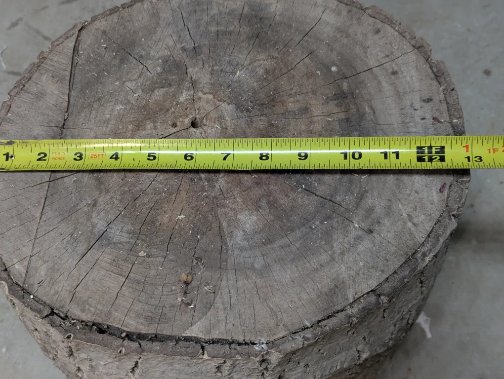 Two Walnut stumps - photo 5
