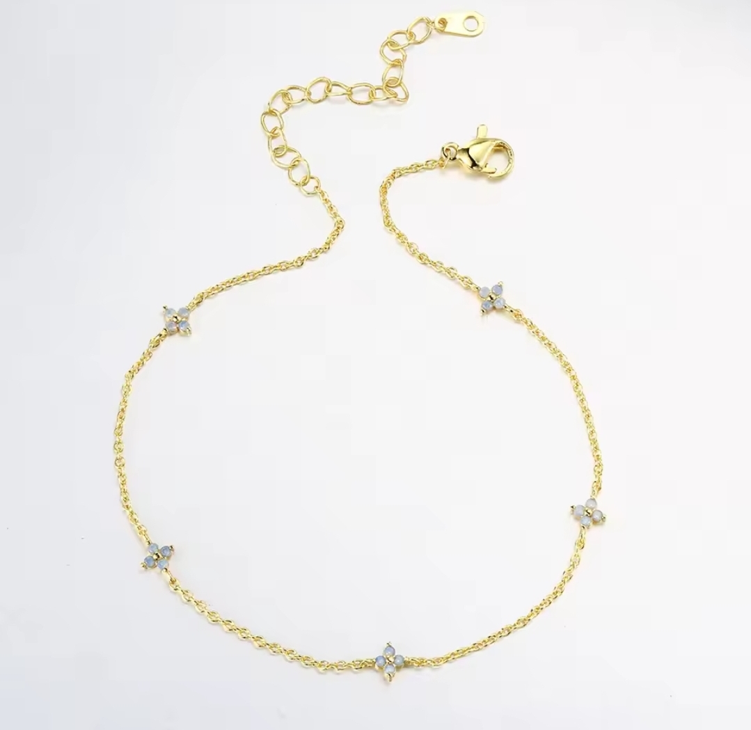 Assorted Anklets