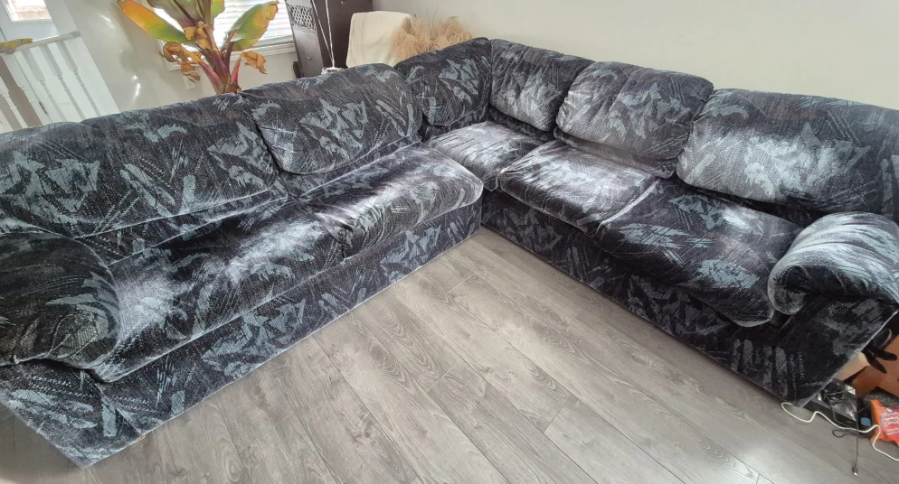 2 piece Sectional Couch with Pull Out Bed