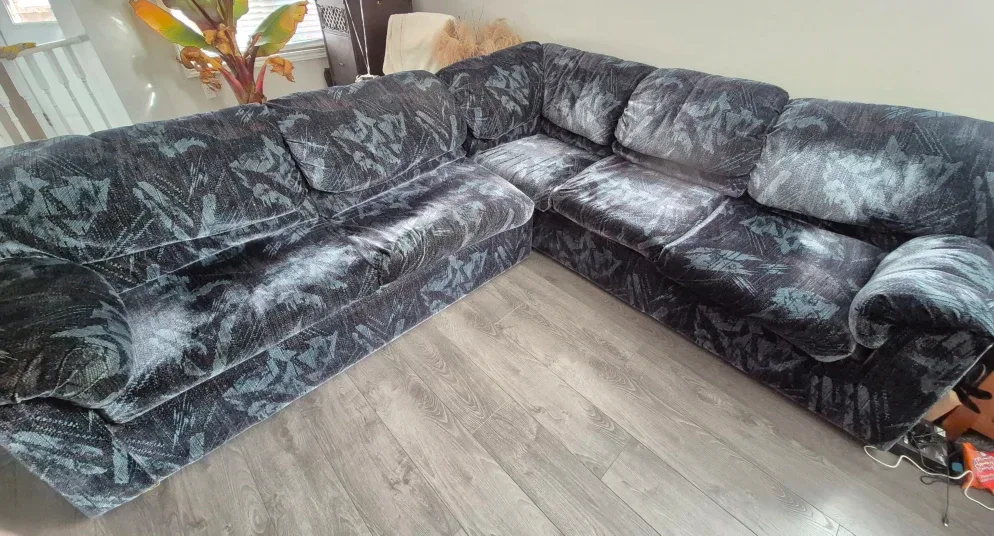 2 piece Sectional Couch with Pull Out Bed
