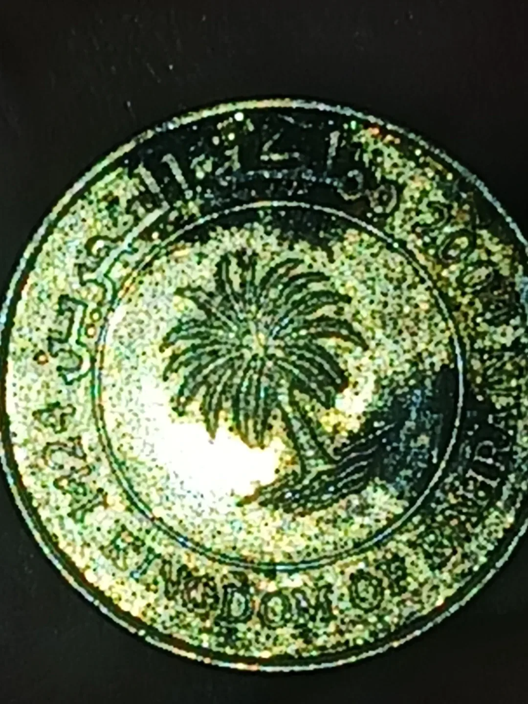 Saudi Arabia 10 Riyals Coin image indicator(2)